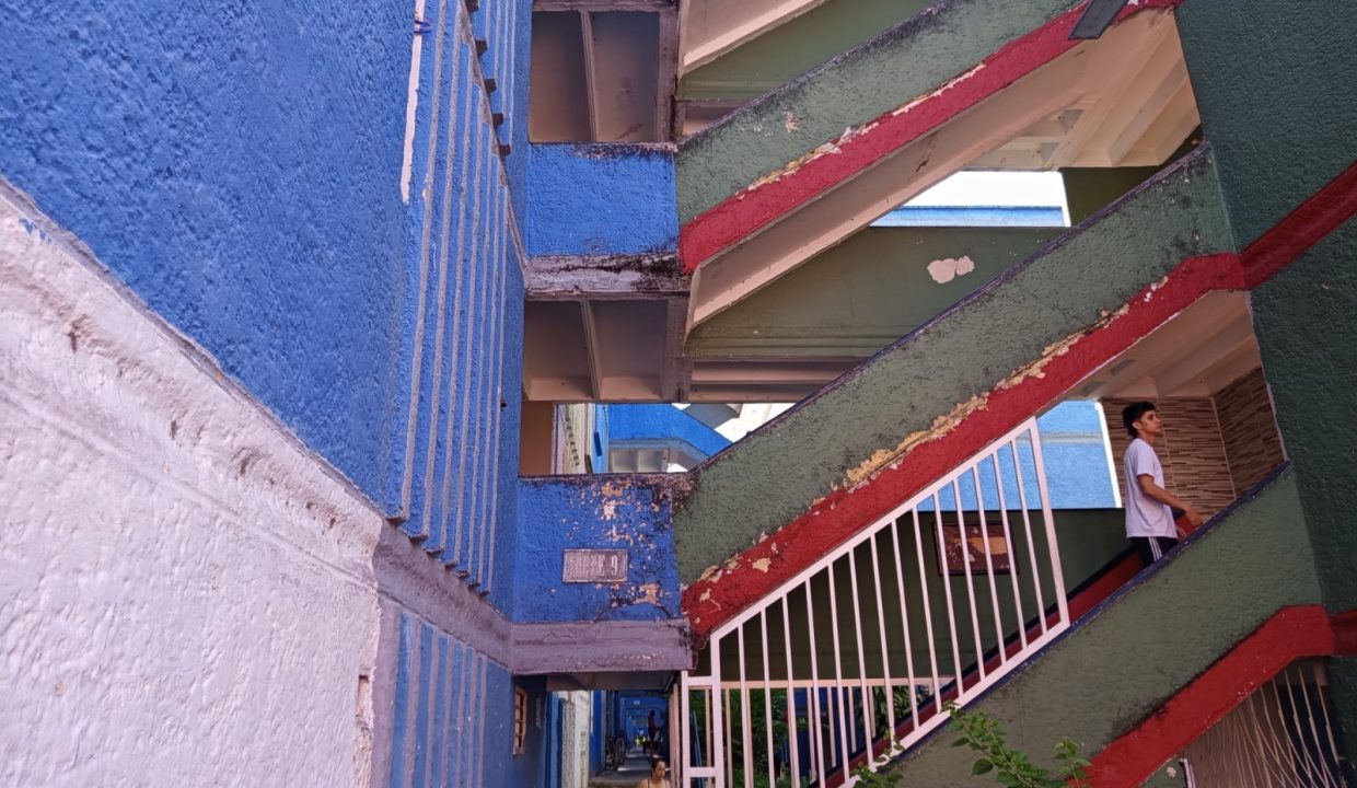 01 (1)
