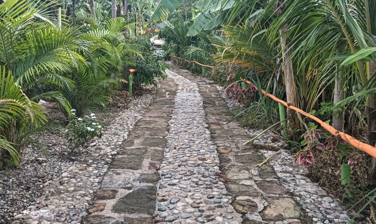 04 (2)