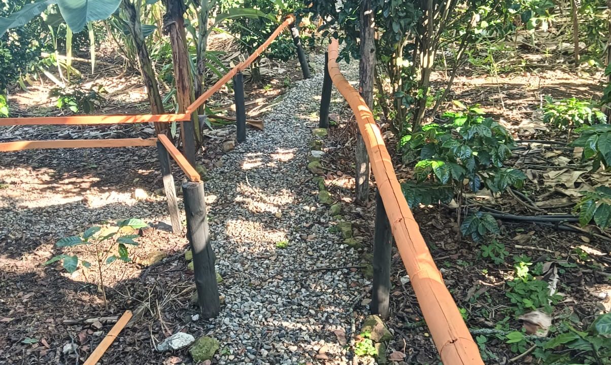 06 (1)