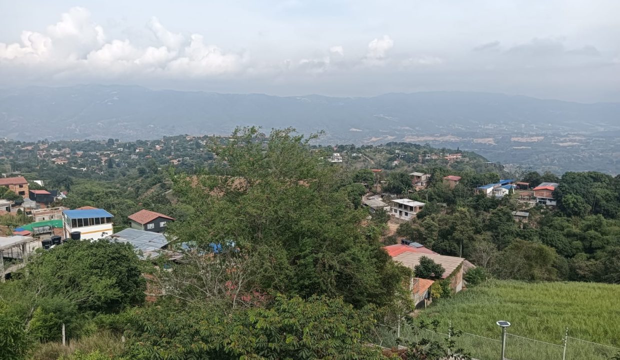 07 (2)