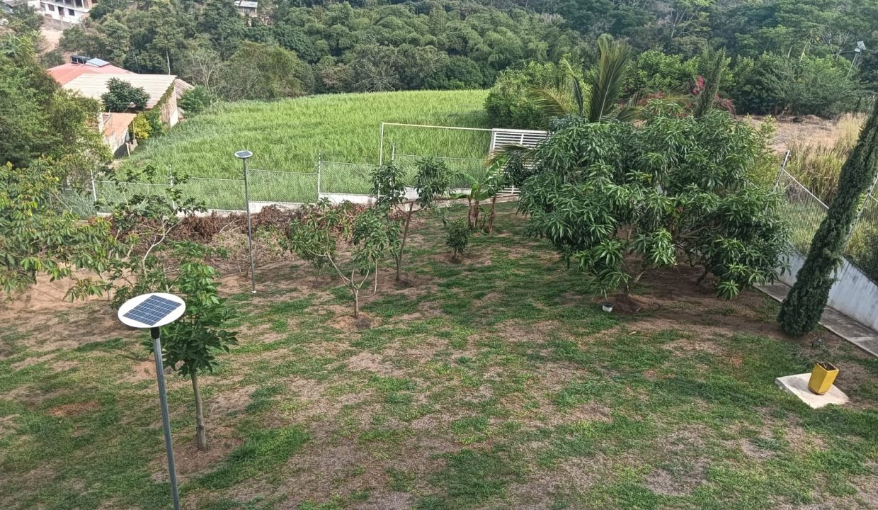08 (2)