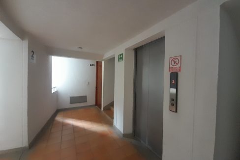 20250212_084044