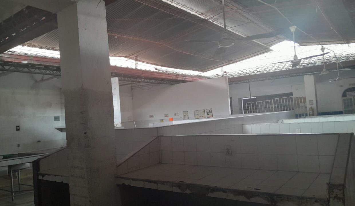 WhatsApp_Image_2025-01-31_at_5.49.53_PM