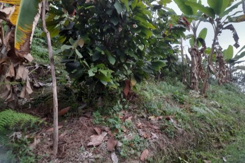 WhatsApp_Image_2025-02-09_at_5.19.52_PM