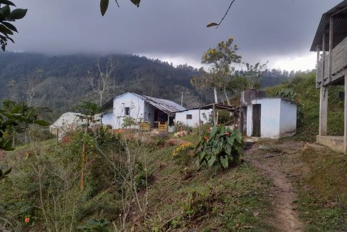 WhatsApp_Image_2025-02-09_at_5.21.18_PM
