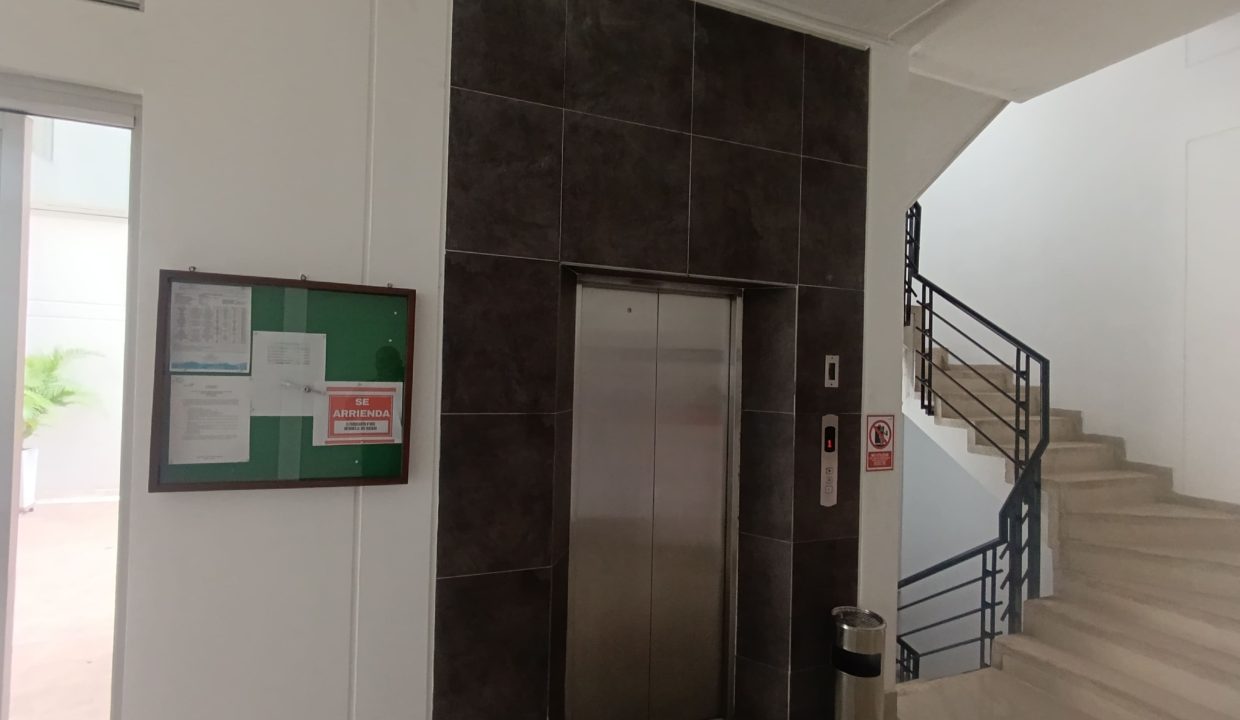 IMG_20250331_152418