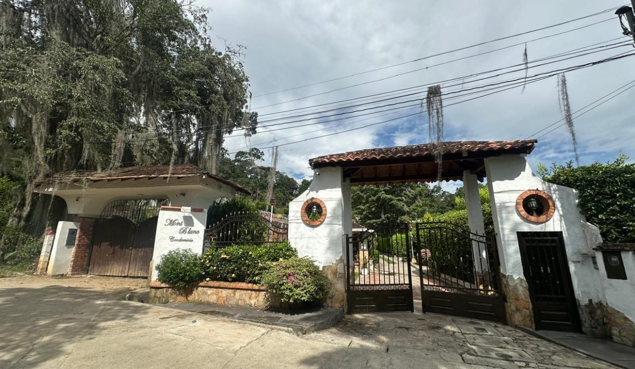 WhatsApp_Image_2025-06-28_at_8.30.53_AM