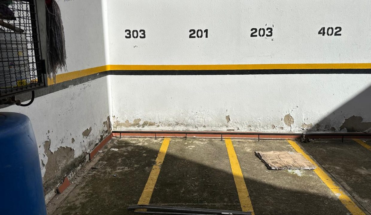 WhatsApp_Image_2025-07-17_at_3.22.08_PM_1