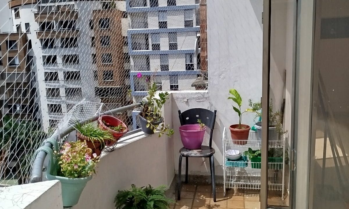 WhatsApp_Image_2025-11-06_at_2.52.38_PM_1