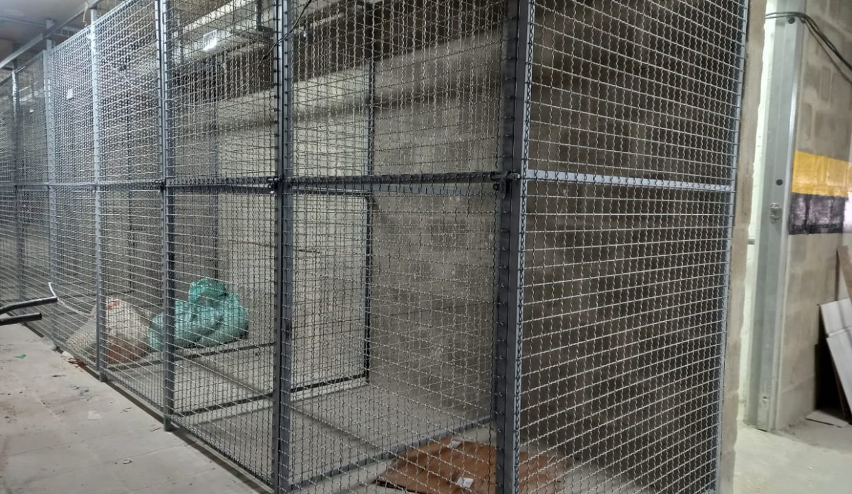 WhatsApp Image 2023-12-22 at 8.44.28 AM (3)