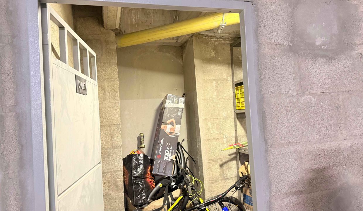 WhatsApp_Image_2026-01-13_at_10.22.48_AM