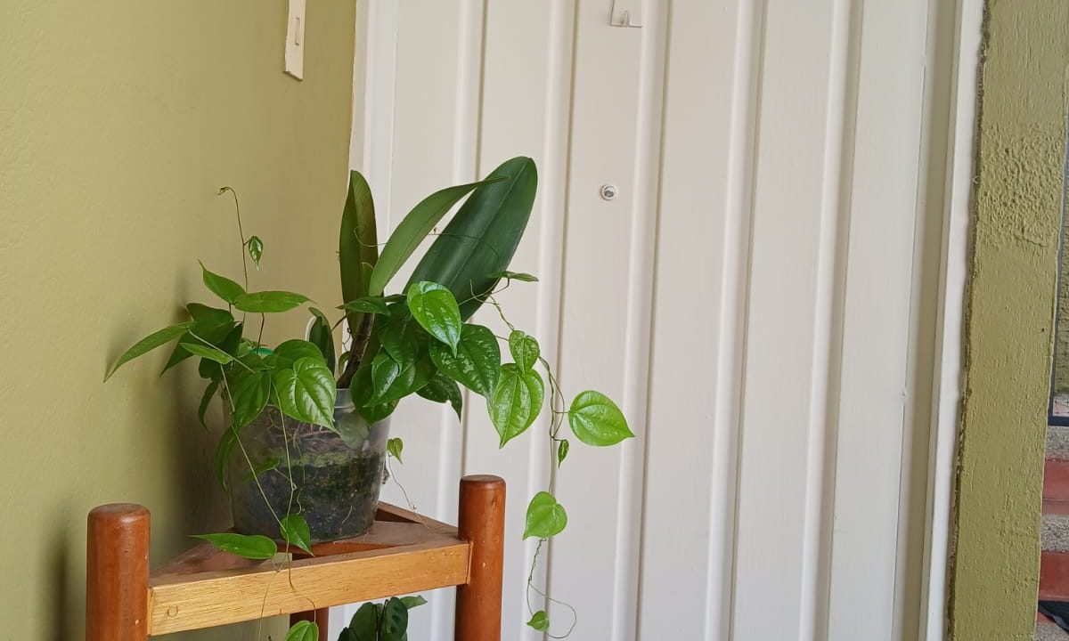 WhatsApp_Image_2026-01-21_at_10.20.52_2