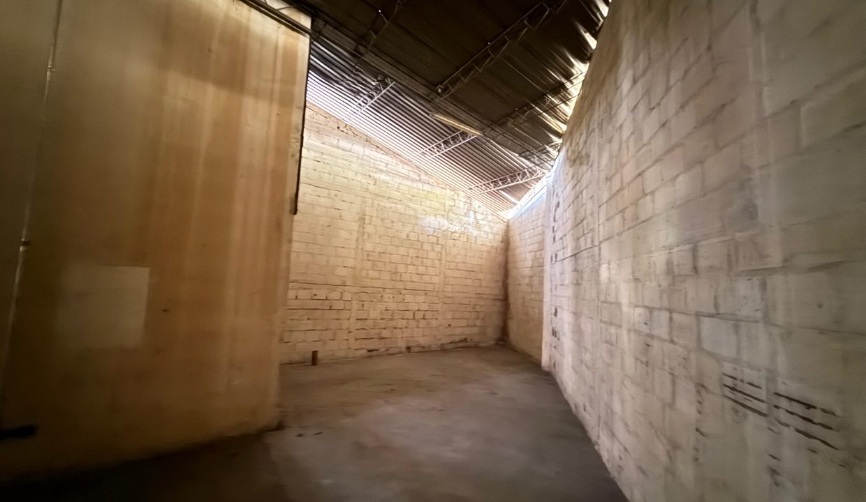 WhatsApp_Image_2026-02-12_at_2.47.31_PM_1