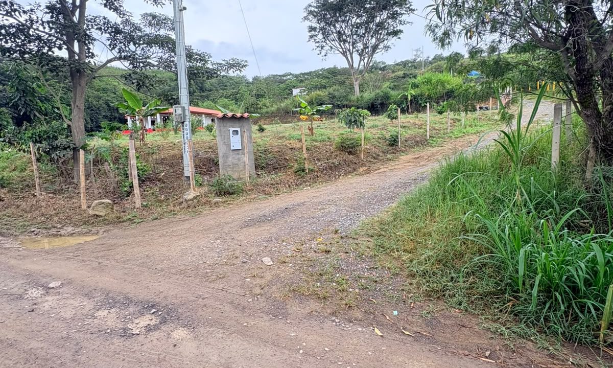WhatsApp_Image_2026-07-21_at_08.11.07