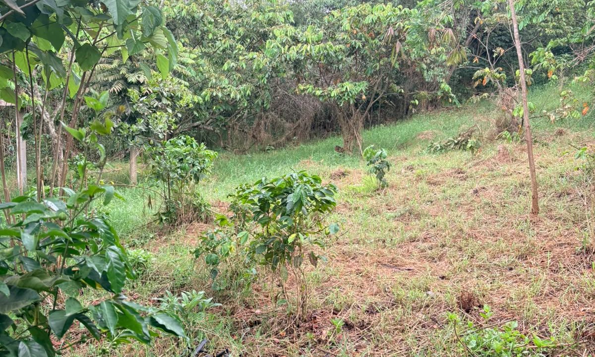 WhatsApp_Image_2026-07-21_at_08.11.08