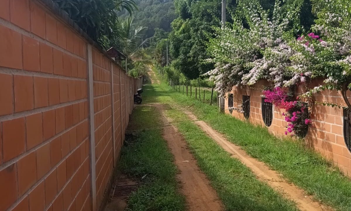 WhatsApp_Image_2026-08-06_at_13.45.21