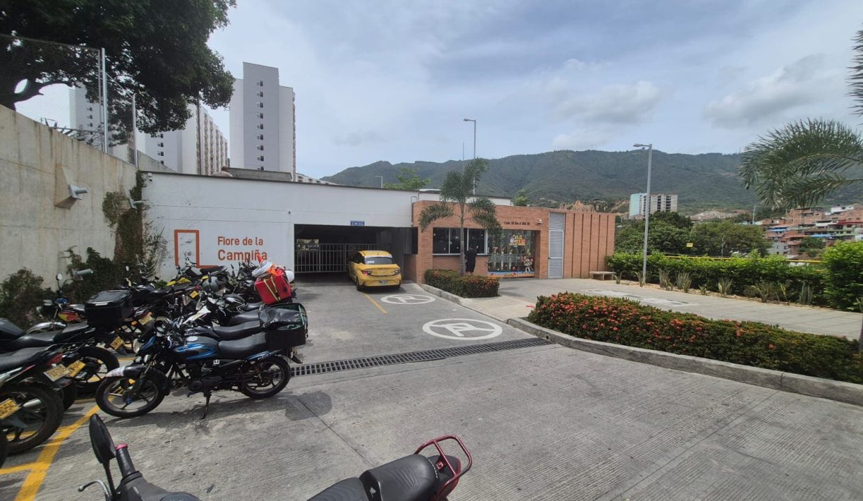 frente